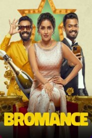 Bromance (2025) WEB-DL Hindi + Multi 1080p HEVC DDP with Dolby Atmos 5.1 ESu