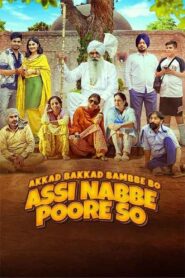 Akkad Bakkad Bambee Bo Assi Nabbe Poore So (2025) AMZN WEBRip Punjabi 1080p x265 HEVC DDP 5.1 ESub